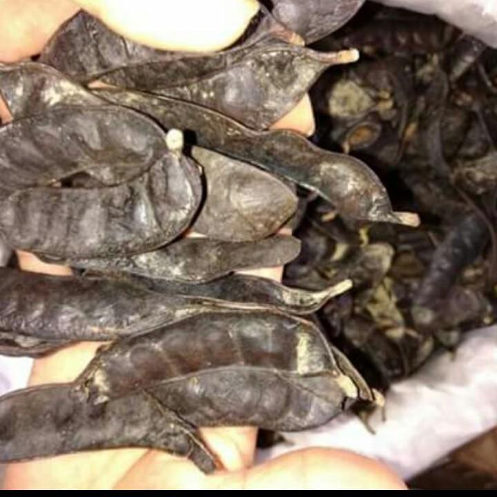 [Quà Tết 2022] [HCM]500g trái bồ kết khô