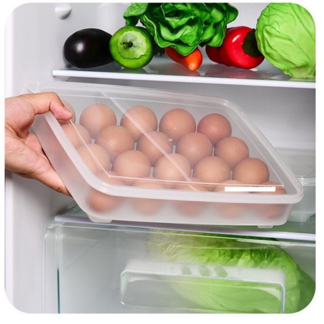 Khay Đựng Trứng 1 Tầng 24 Quả