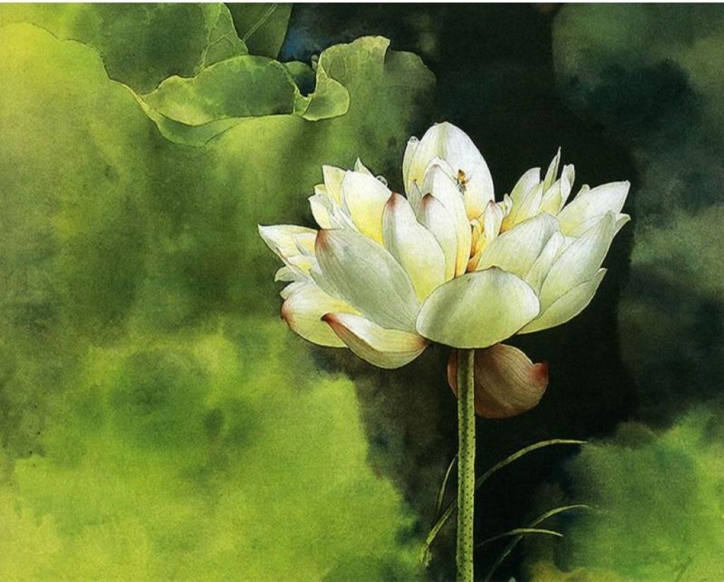 Tranh sơn dầu số hóa hoa Sen