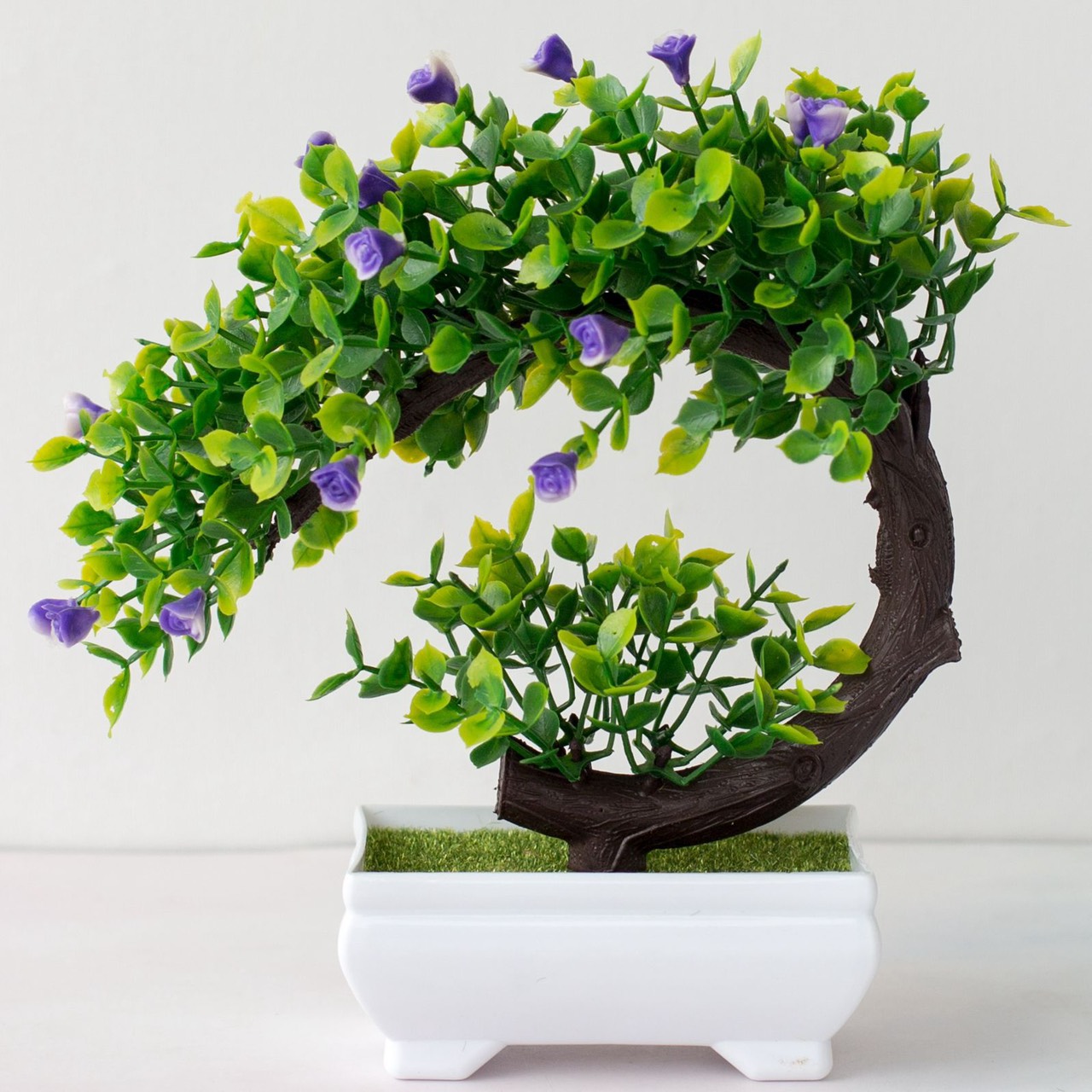 [HCM]Chậu Cây Bonsai Phú Quý - Vạn Sự Như Ý