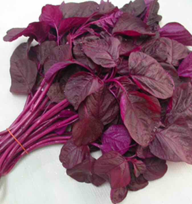 Hạt giống rau dền đỏ - gói 20 gram