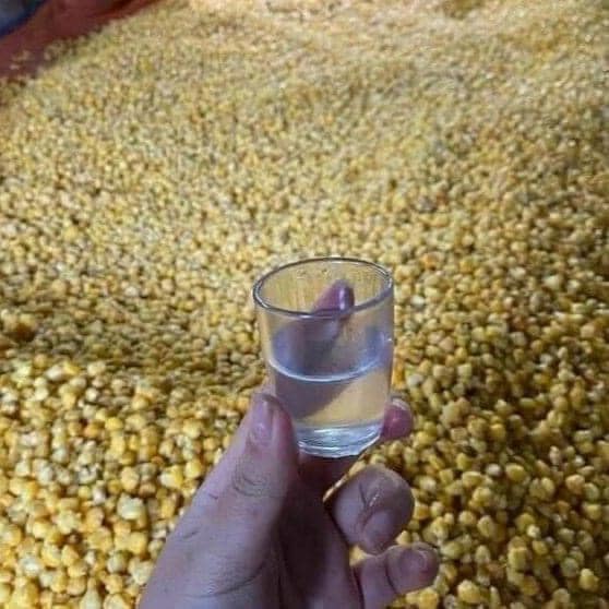 (5 lít) Rượu Ngô đặc sản Hà Giang