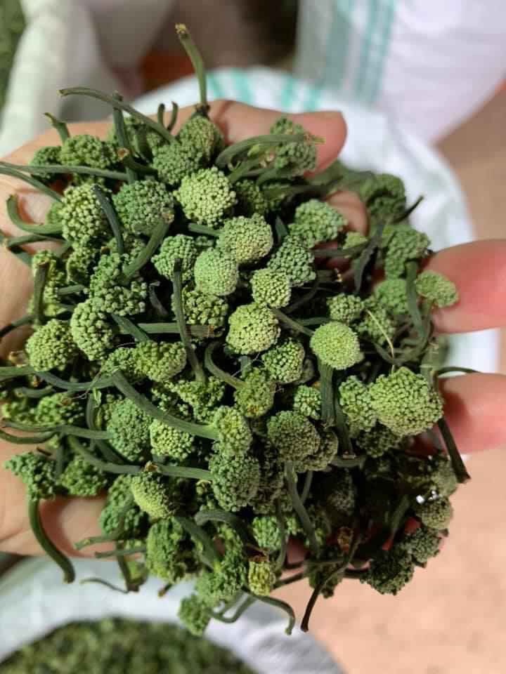 Nụ hoa tam thất khô ( Nụ bao tử 500g)