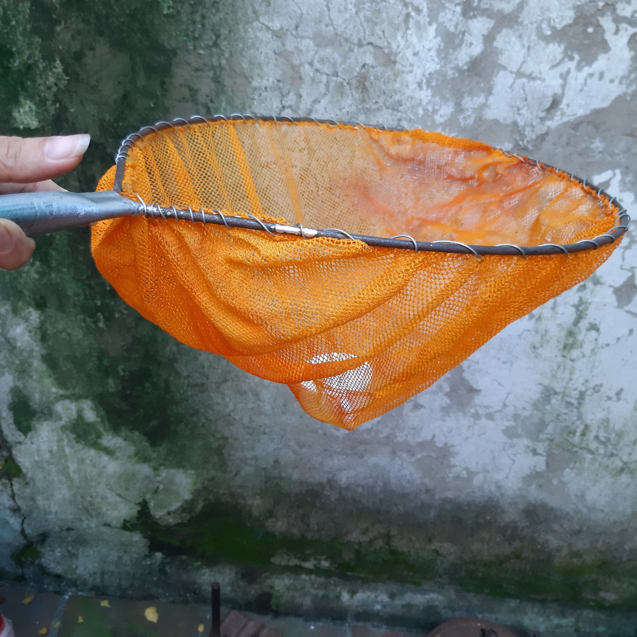 vợt vớt tép,tôm giống