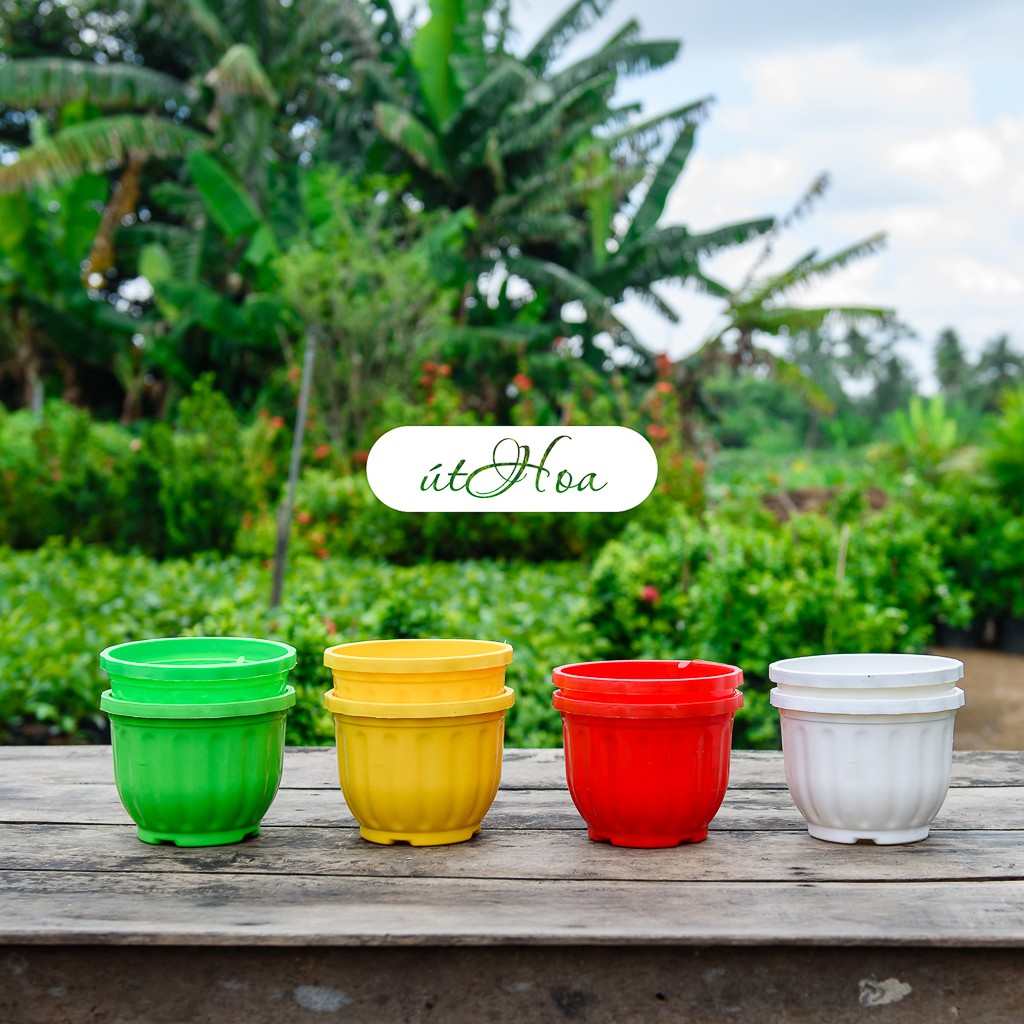 Chậu Treo Trái Bí Mini Trồng Sen Đá, Hoa Kiểng (Kèm Dây Treo)