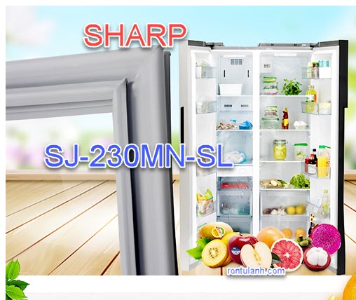 Ron cửa của tủ lạnh sharp model sj-230mn-sl