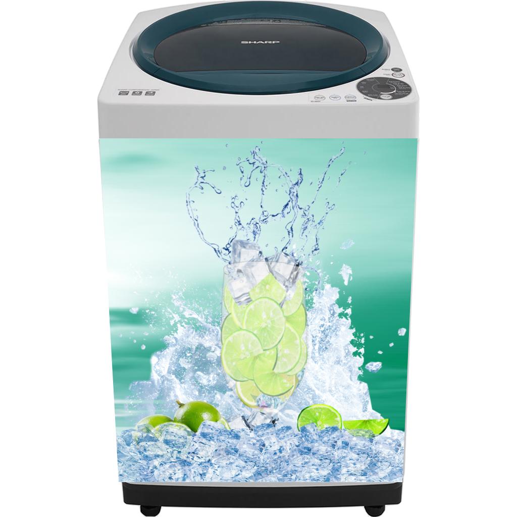 Decal dán máy giặt - Hình Chanh Bien XL