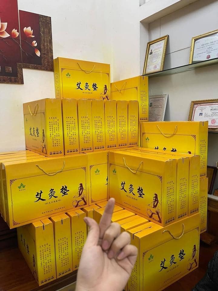 Thảm điện ngải cứu [ RẤT CẦN CHO MÙA ĐÔNG LẠNH GIÁ]