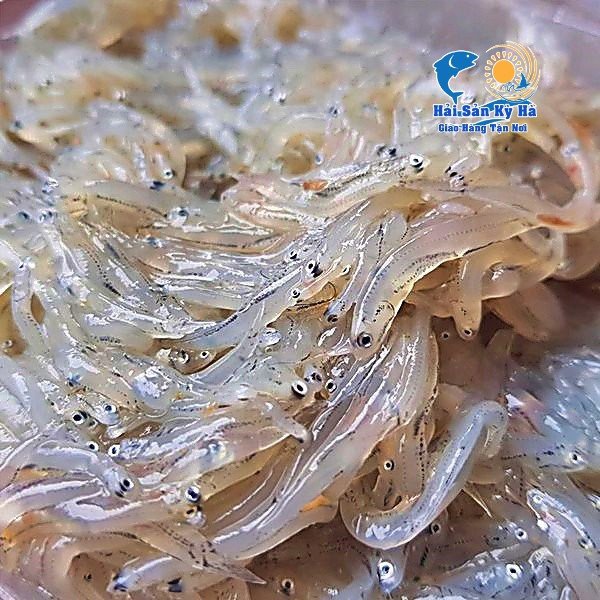 [GIAO NHANH 2H HCM] Giá Sỉ 1Kg Cá cơm mờn sữa