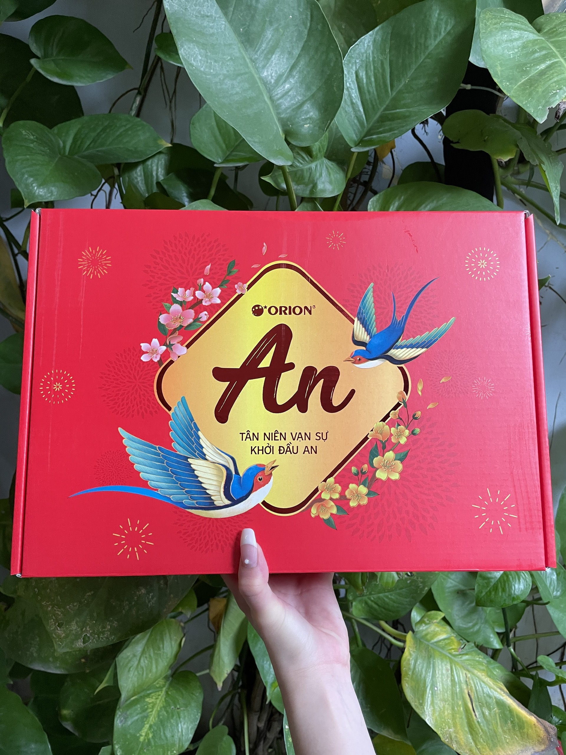 Bộ Quà Tết Orion - Bình An I (Hộp 693.7g)