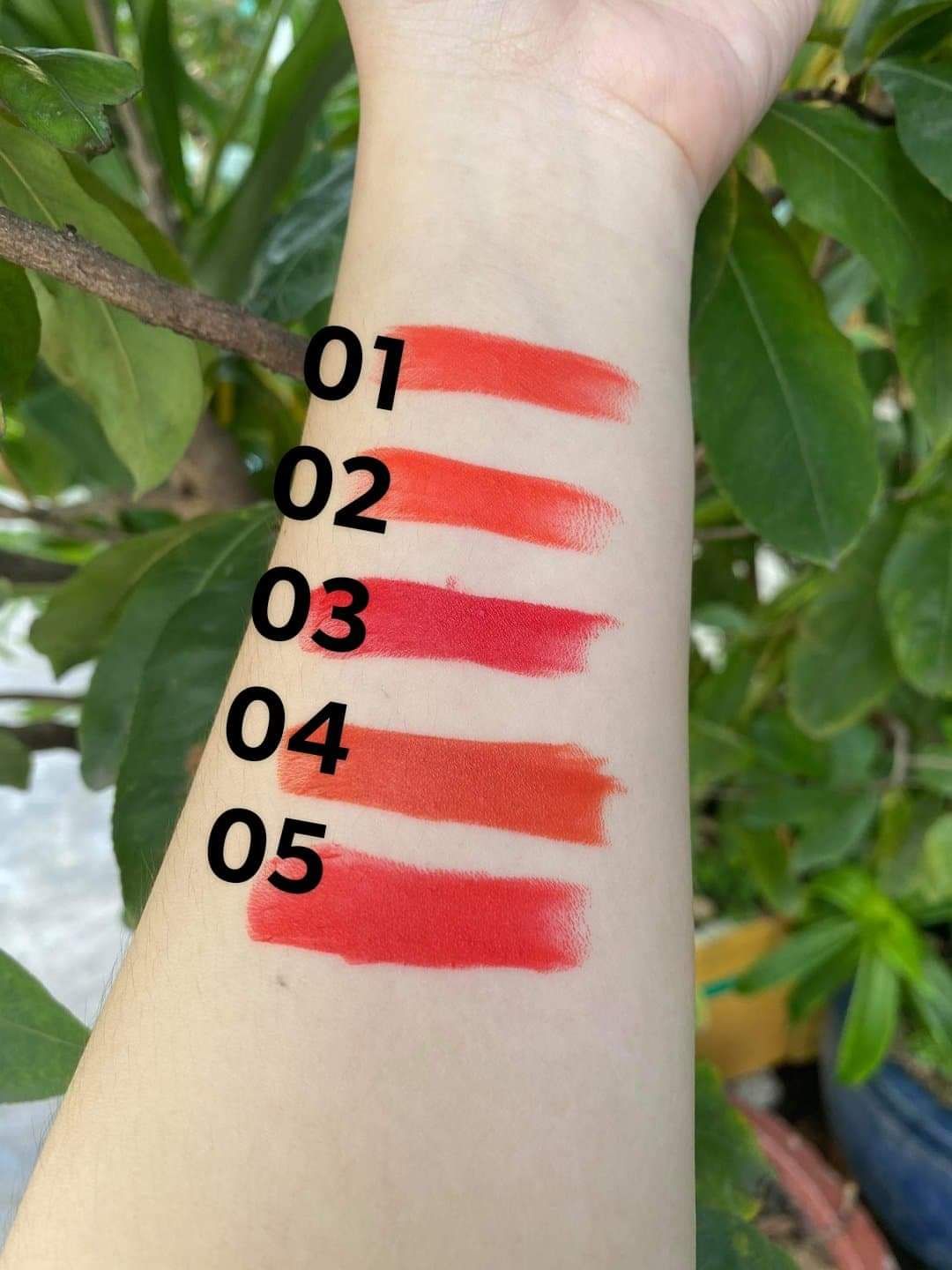 [HCM]son wodwod hồng