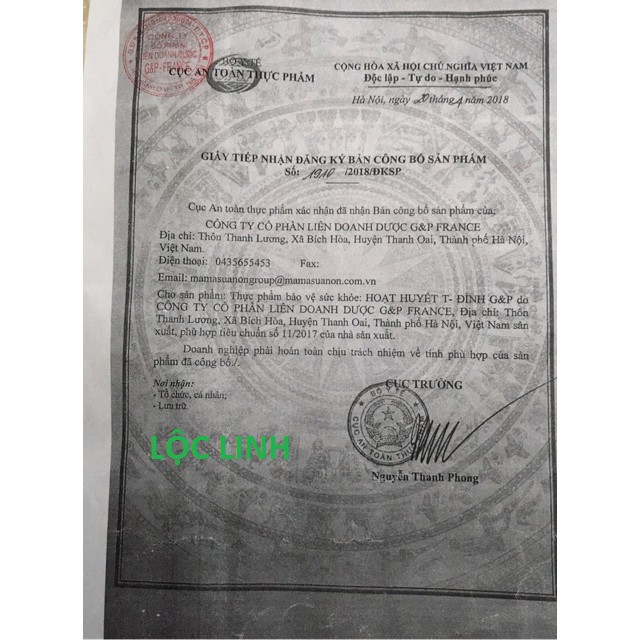 Hoạt Huyết Tiền Đình G -P