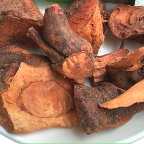[Hàng mới về] Rễ cây mú từn sấy khô 1kg - Thảo Dược Tấn Phát