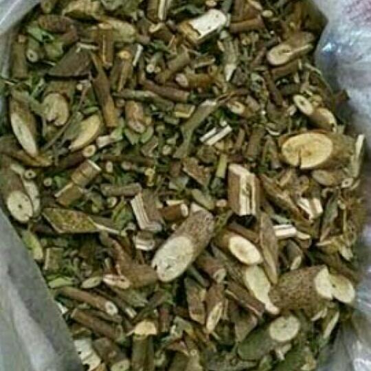Sỉ 1kg cây an xoa