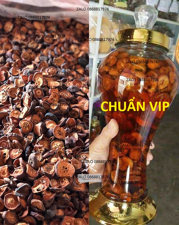 5kg TÁO MÈO NỘI SƠN RỪNG SẤY -TRI. KHÓ TIÊU - NHIỄM MỞ - XƯƠNG KHỚP - SUY NHƯỢC -MẤT NGỦ ..VV - VIP NGON TM 2.1