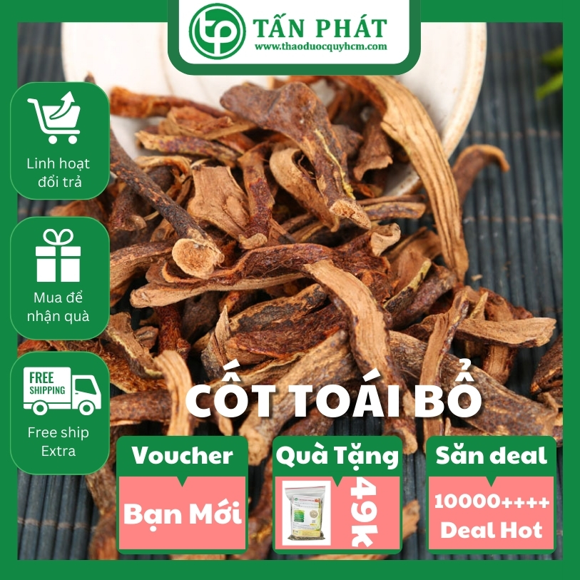 [Hàng mới về] Tắc kè đá (cốt toái bổ) sấy khô 500g - Thảo Dược Tấn Phát - Hỗ trợ bồi bổ gân cốt - giúp hoạt hu.yết và b.ổ m.áu cực tốt - chuyên dùng để sắc nước và pha trà