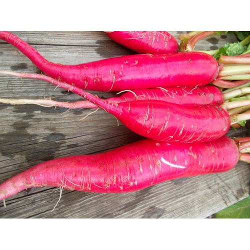 Hạt Giống Củ Cải Đỏ Dài 2Gram