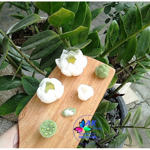 Khuôn Silicon Rau Câu 4d Hoa Sen Thái MS5