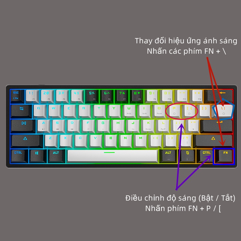 [FREESHIP MAX] Bàn phím cơ gaming LEAVEN K620 Led RGB 61 phím blue swith có Hotwaps chơi game dùng văn phòng siêu đẹp bảo hành 12 tháng-Toàn Lộc Computer