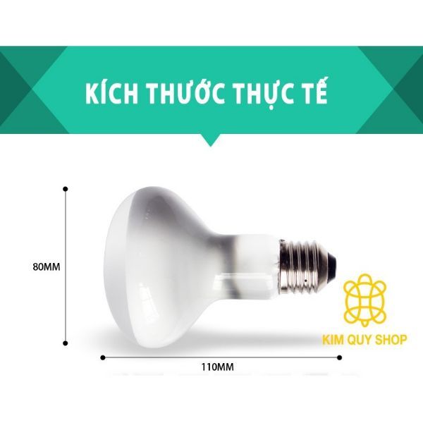 Đèn uva sưởi ngày cho bò sát