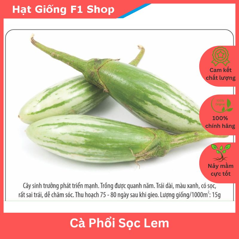 Hạt giống cà phổi sọc lem dễ trồng