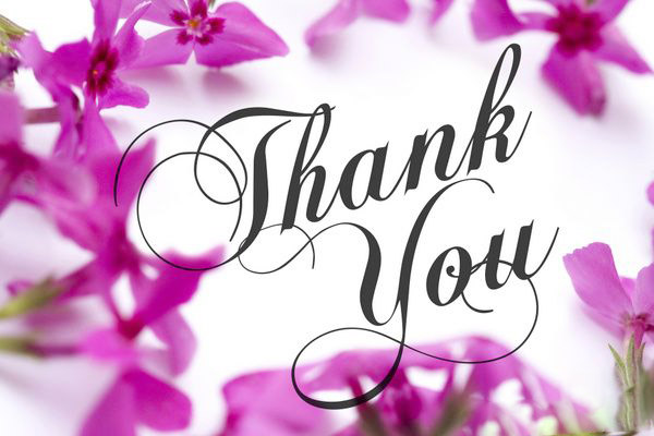 100 Tag Thanks Card Cảm ơn
