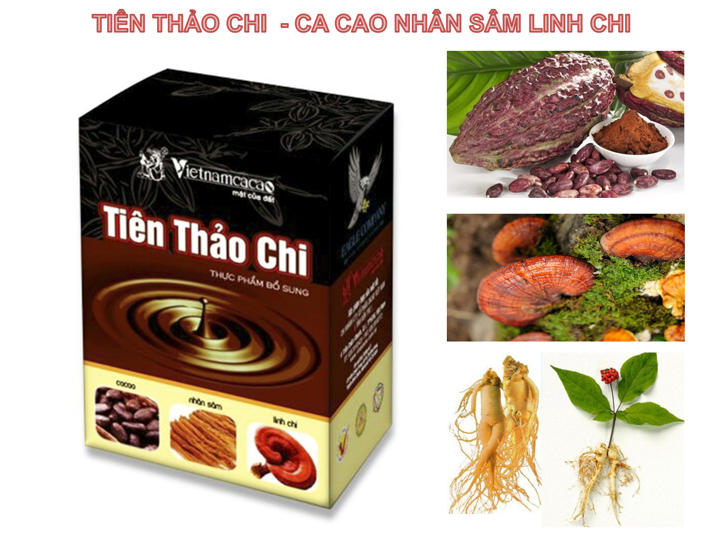 Bột Ca Cao Nhân Sâm Linh Chi Tiên Thảo Chi [Chính Hãng]