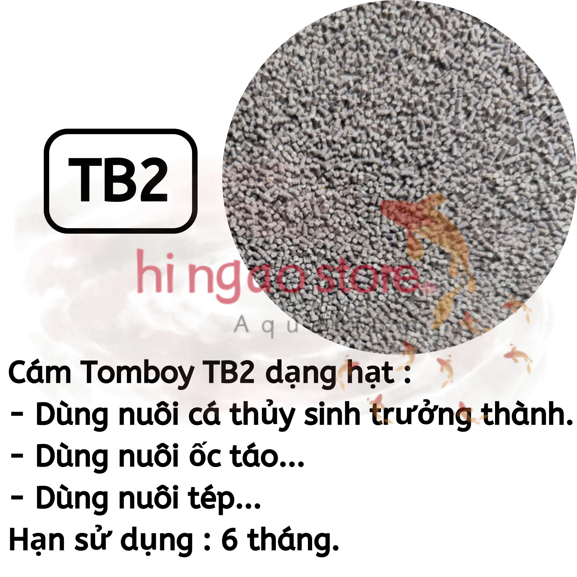 Bộ 4 Hủ 10G Cám tomboy TB 0, TB 1, TB 2, TB 3, TB TT - Thức ăn hỗn hợp biến cá bột, tép bột,ốc bột thành cá bự, tép bự, ốc bự | Hingaostore.
