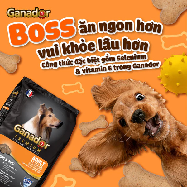 [Combo 4] Hạt Ganador Chó Lớn Cừu & Gạo 3kg