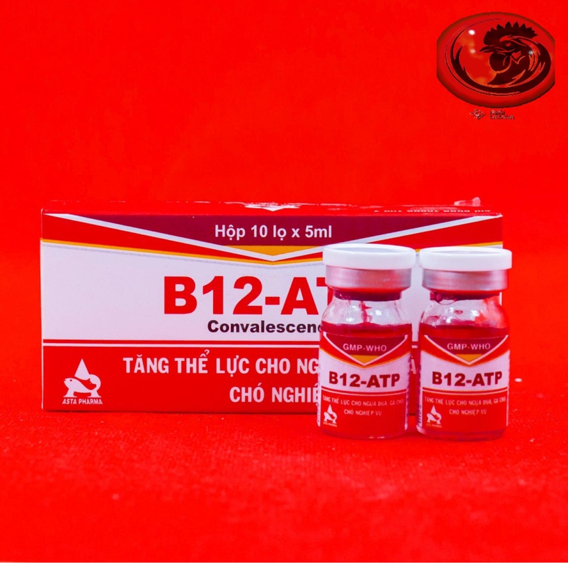 COMBO 10 LỌ Thuốc tăng lực cho gà đá B12 ATP