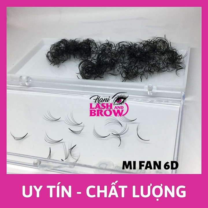 Lông Mi Fan Tay Sẵn 6D - Hani Beauty