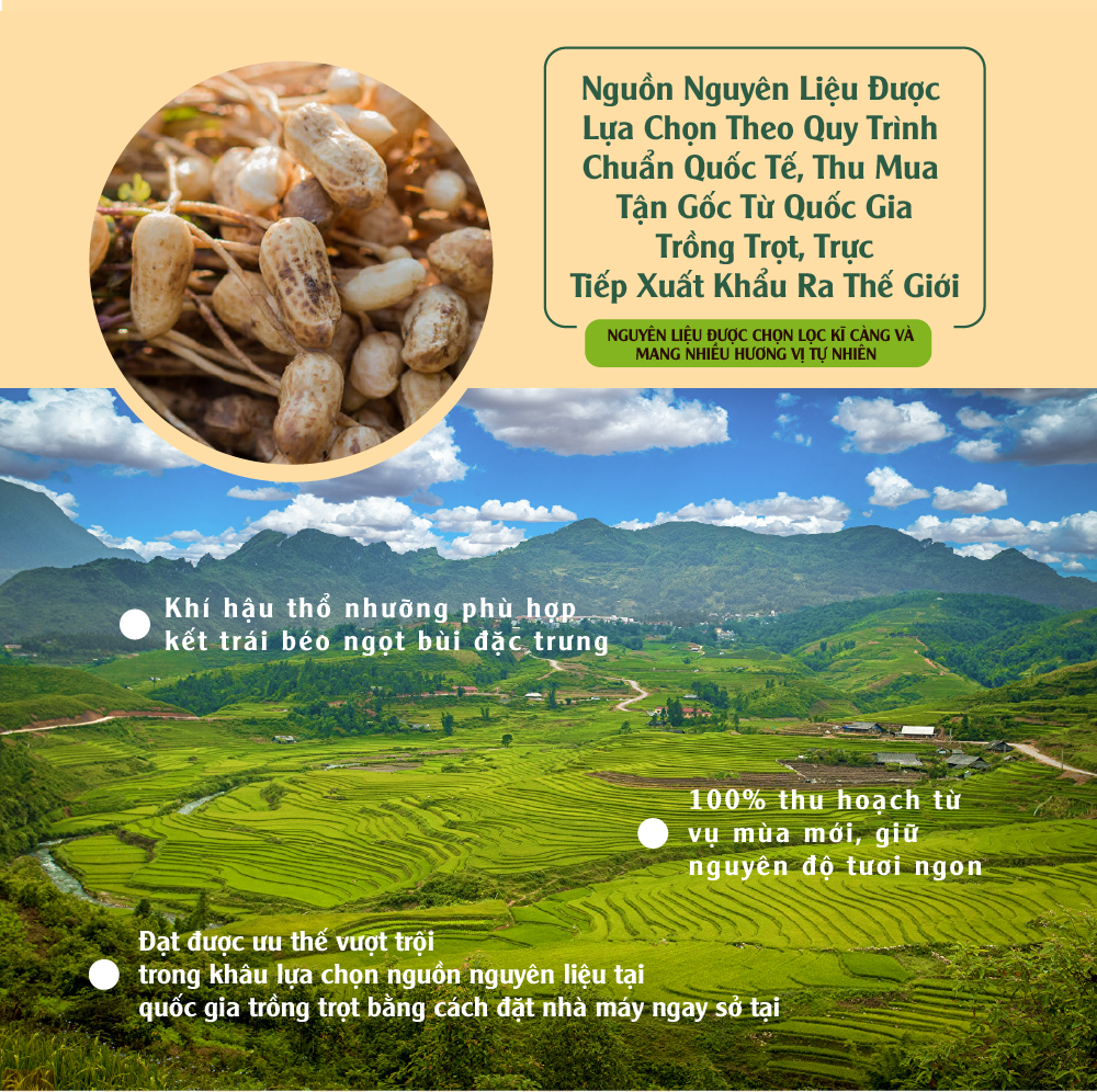 [Chính hãng] Đậu phộng nước cốt dừa 1kg Dan D Pak