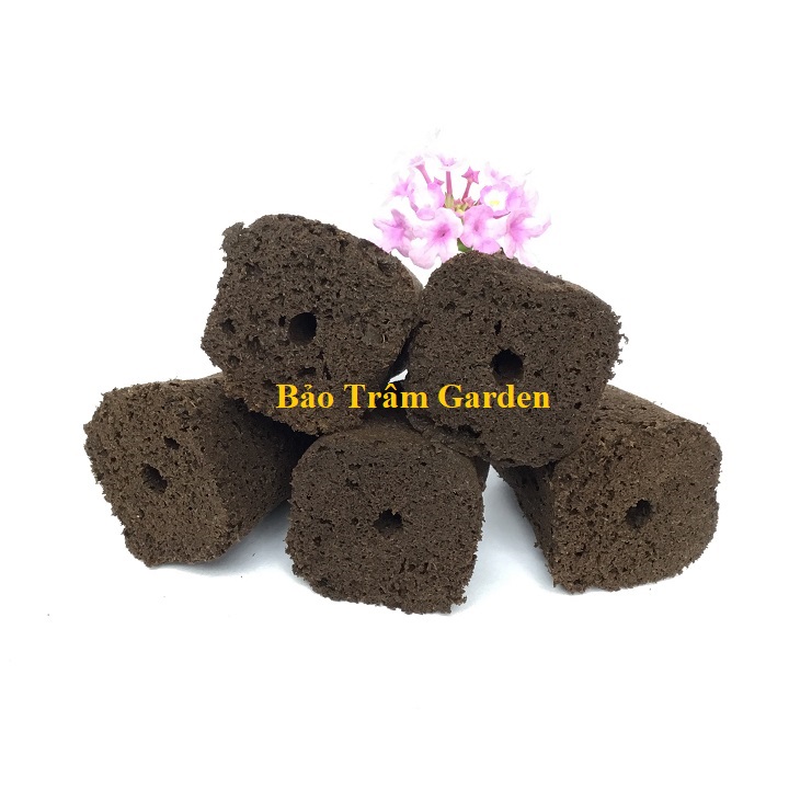 Set 5 mút ươm hữu cơ nhập khẩu Mỹ chuyên ươm hạt, giâm cành. ươm kie phong lan