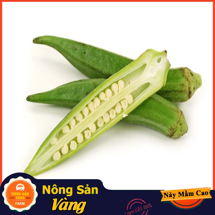 Chinese cabbage seed West (okra) good for bone joints and digestive system (package 20 grams)-shallow gold