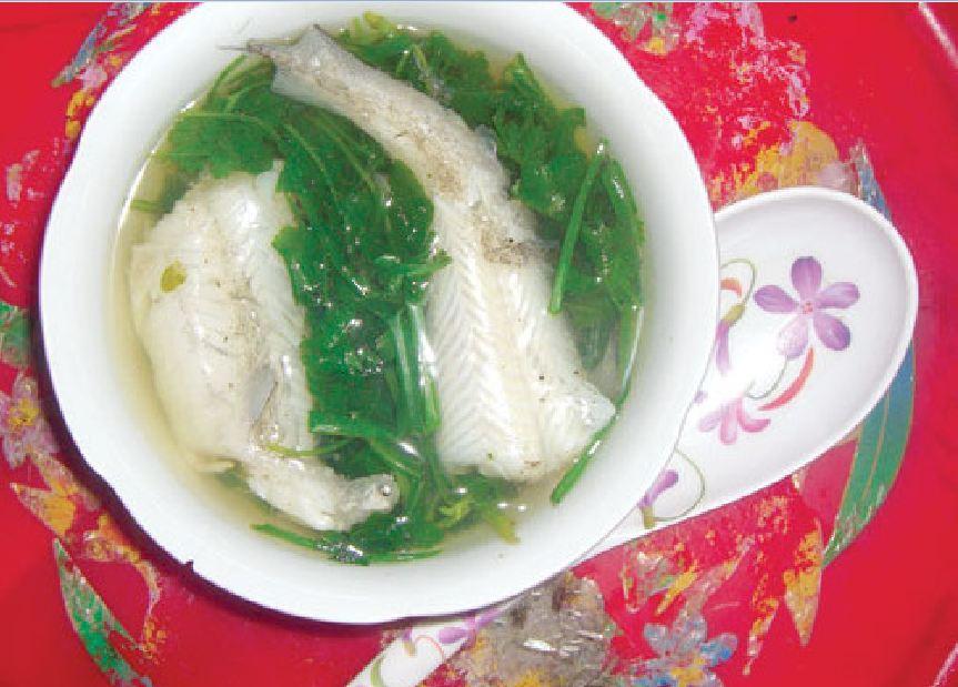 Bộ 2 gói hạt giống rau cải cúc nếp