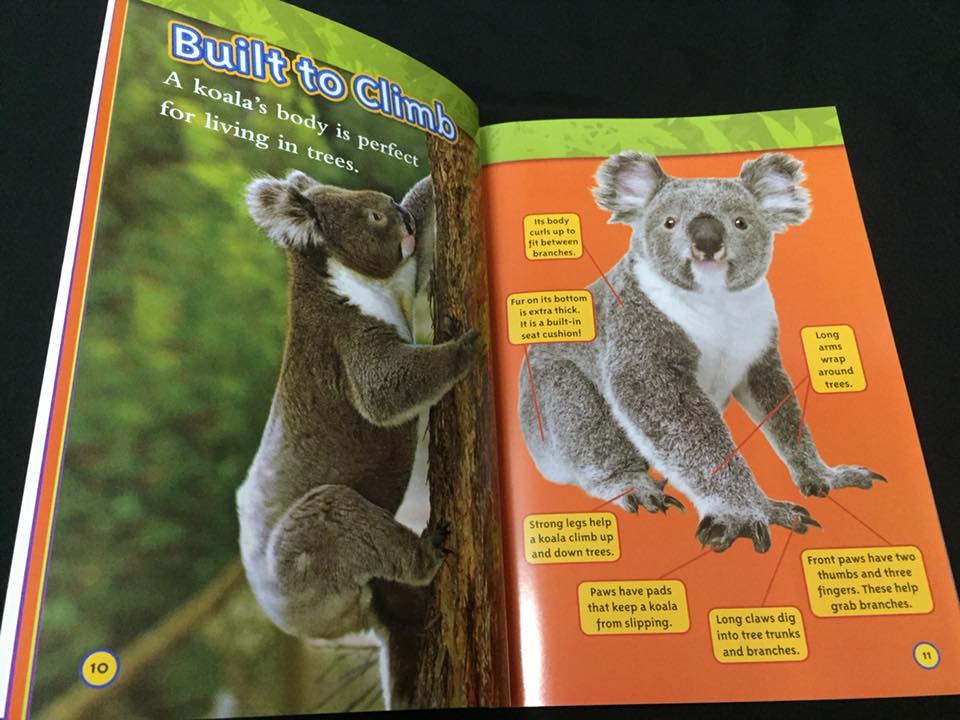 National Geographic  (25 cuốn) level 1