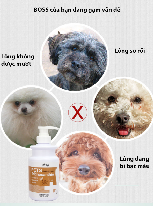 SỮA TẮM KHÔ DÀNH CHO CHÓ MÈO
