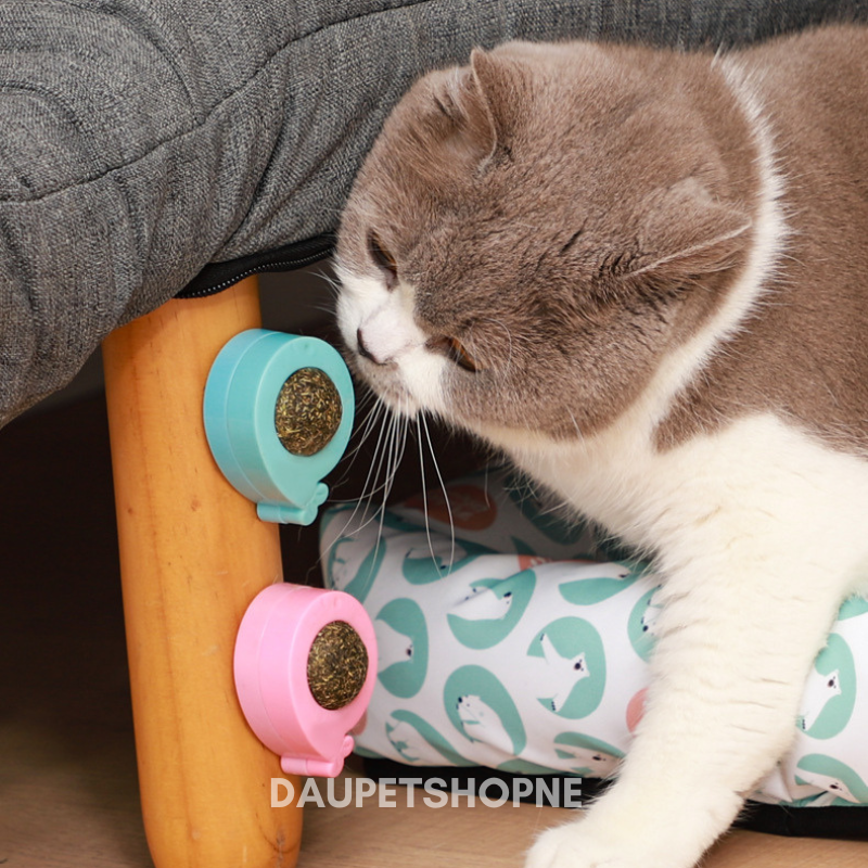 Catnip dán tường - Cỏ bạc hà cho mèo