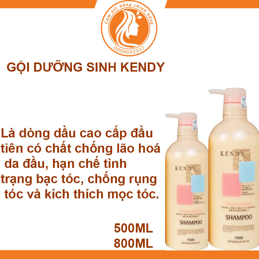 Cặp gội xả kendy dưỡng sinh cao cấp