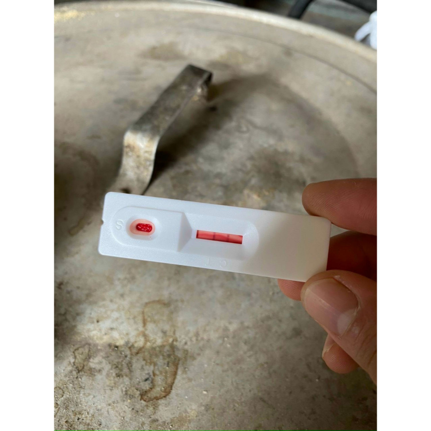Que Test Nhanh Dịch Tả Heo Châu Phi (ASFV Ag Rapid Test Card)