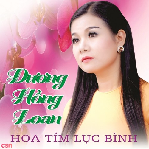 MP3 : Phi Nhung, Trường Vũ, Như Quỳnh 114 Bài Hát (phát trên xe ô tô hay đầu Đĩa có hỗ trợ MP3)