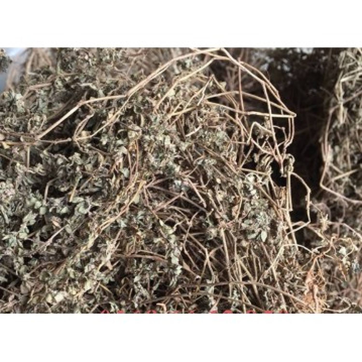 1kg Cây Cỏ Sữa khô ( cỏ sữa lá nhỏ) hàng lᴏại 1