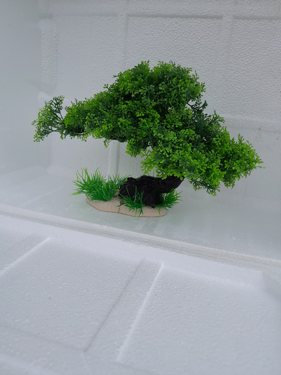 Bonsai bể Cá - Cỏ - Rong Trang Trí Bể Cá