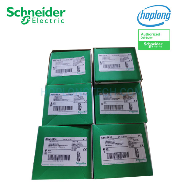 Cầu chì cách ly A9N15636 Schneider