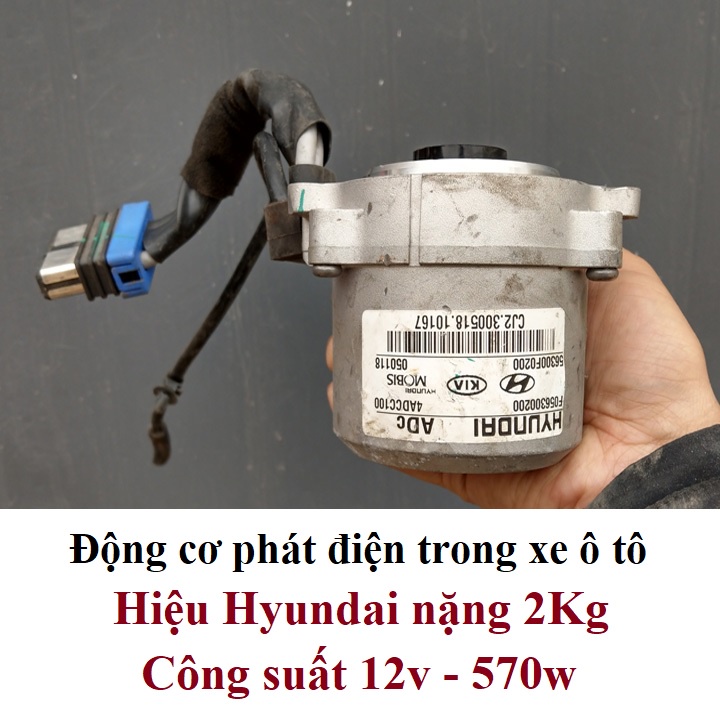 Động cơ phát điện 36v-300w, 60v-600w