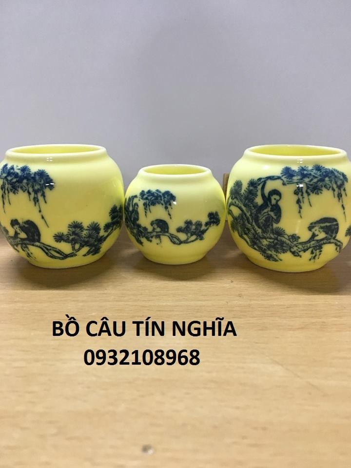 [Combo 3]Cóng Xứ Chào Mào Rẻ 05