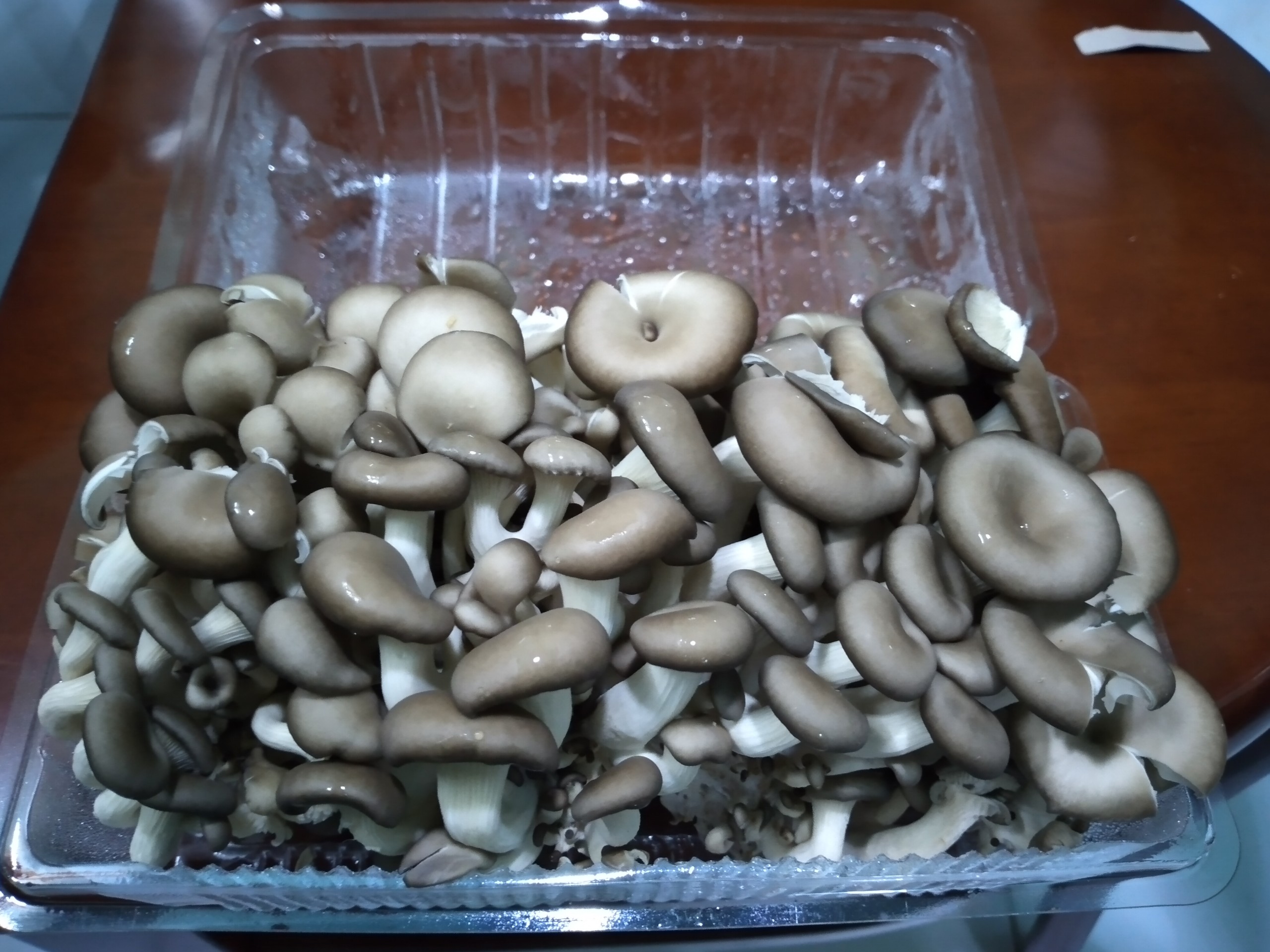 [HCM]Nấm Tiểu Yến tươi 300g