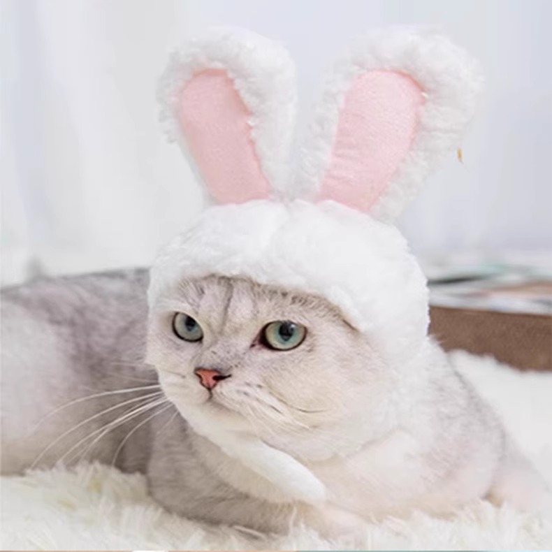 Nón tai thỏ 4 màu cho chó mèo - T3 PETS SHOP