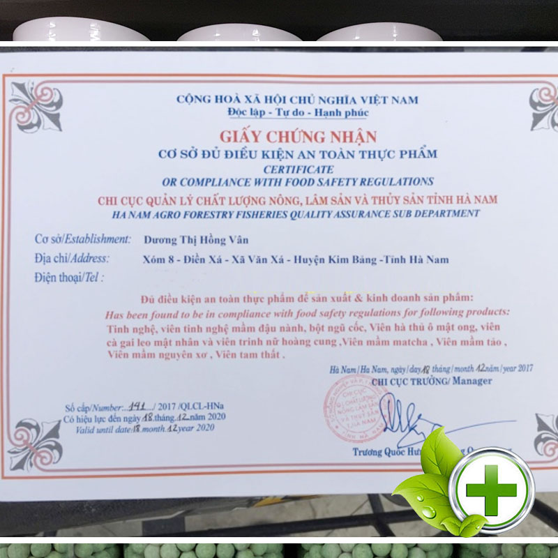 Viên Mầm Hồng Sâm Matcha ( Hộp 500gram )