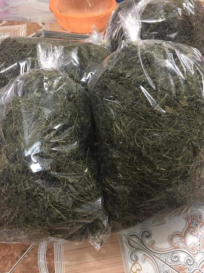 Giảo cổ Lam - 1kg